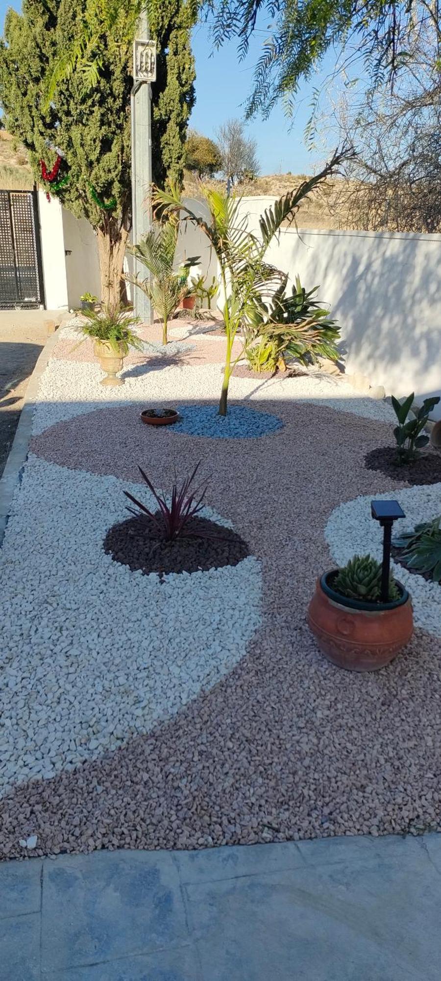 Casa Rural Con Piscina Climatizada Y Barbacoa A 10 Km De Alicante Y Playas, 3000 M2 De Terreno Elche Exterior foto